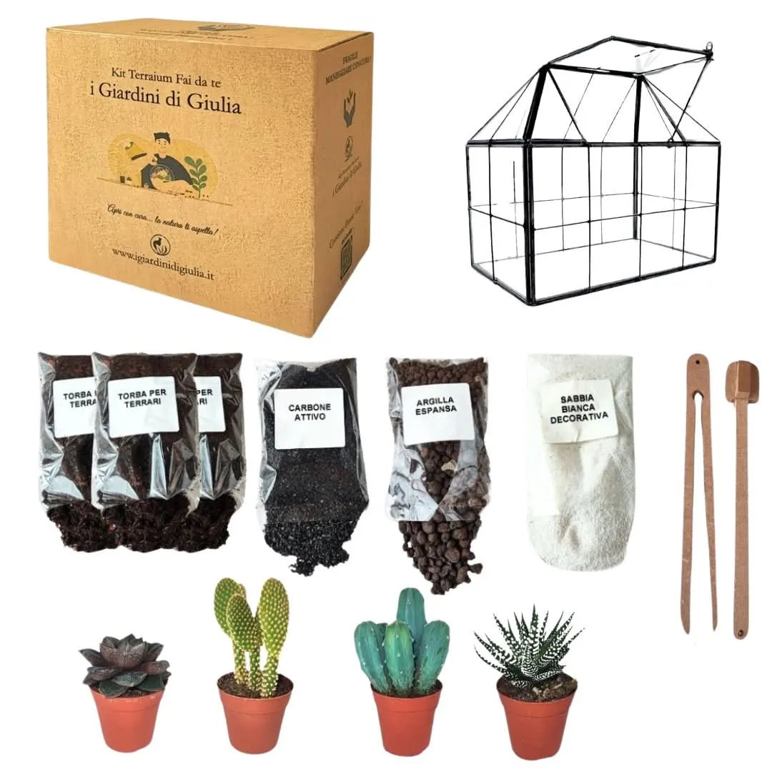 Kit Terrarium Fai-da-Te geometrico con piante grasse, contenitore in vetro e attrezzi