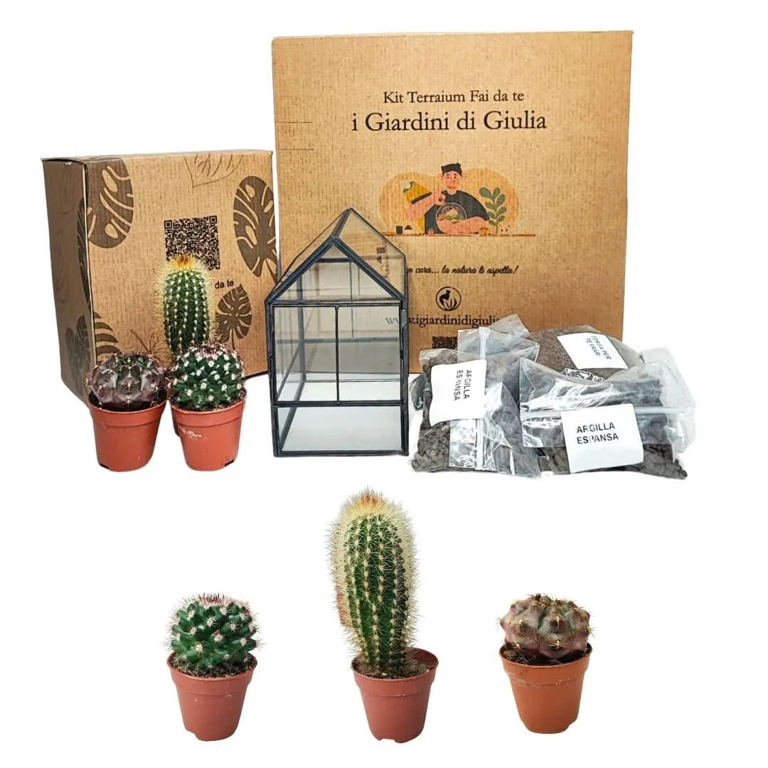 Kit Terrarium Fai da Te Piante Grasse Beatrice - Contenitore geometrico in vetro con piante grasse e substrati