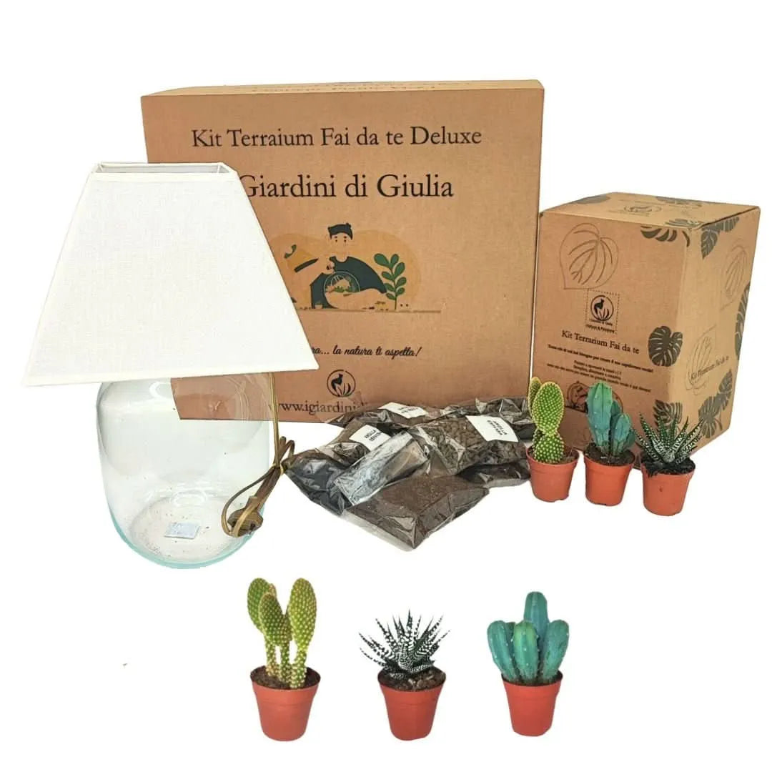 Kit Terrarium Lamparium Medio con piante grasse e materiali inclusi