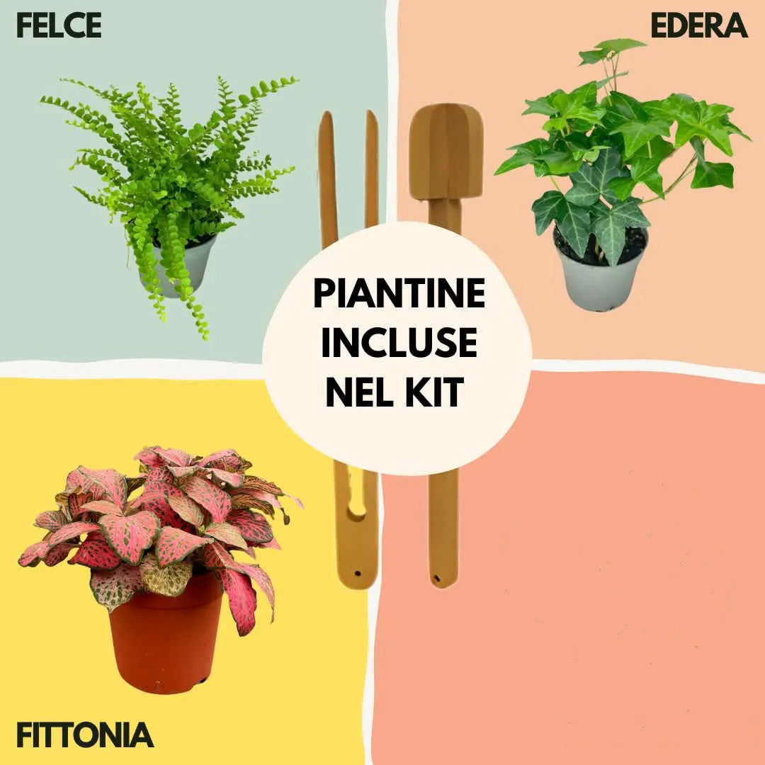 Kit Terrarium Lamparium completo di piante, substrati e componenti per l&