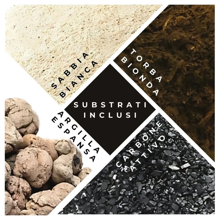 Substrati professionali per terrarium: torba, carbone attivo, argilla espansa e sabbia decorativa