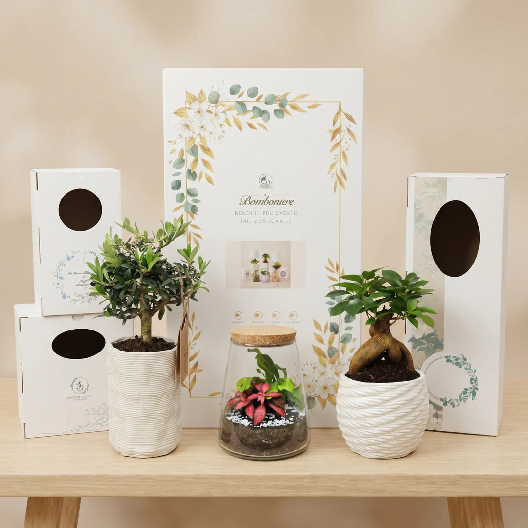 Kit bomboniere per eventi Piccolo