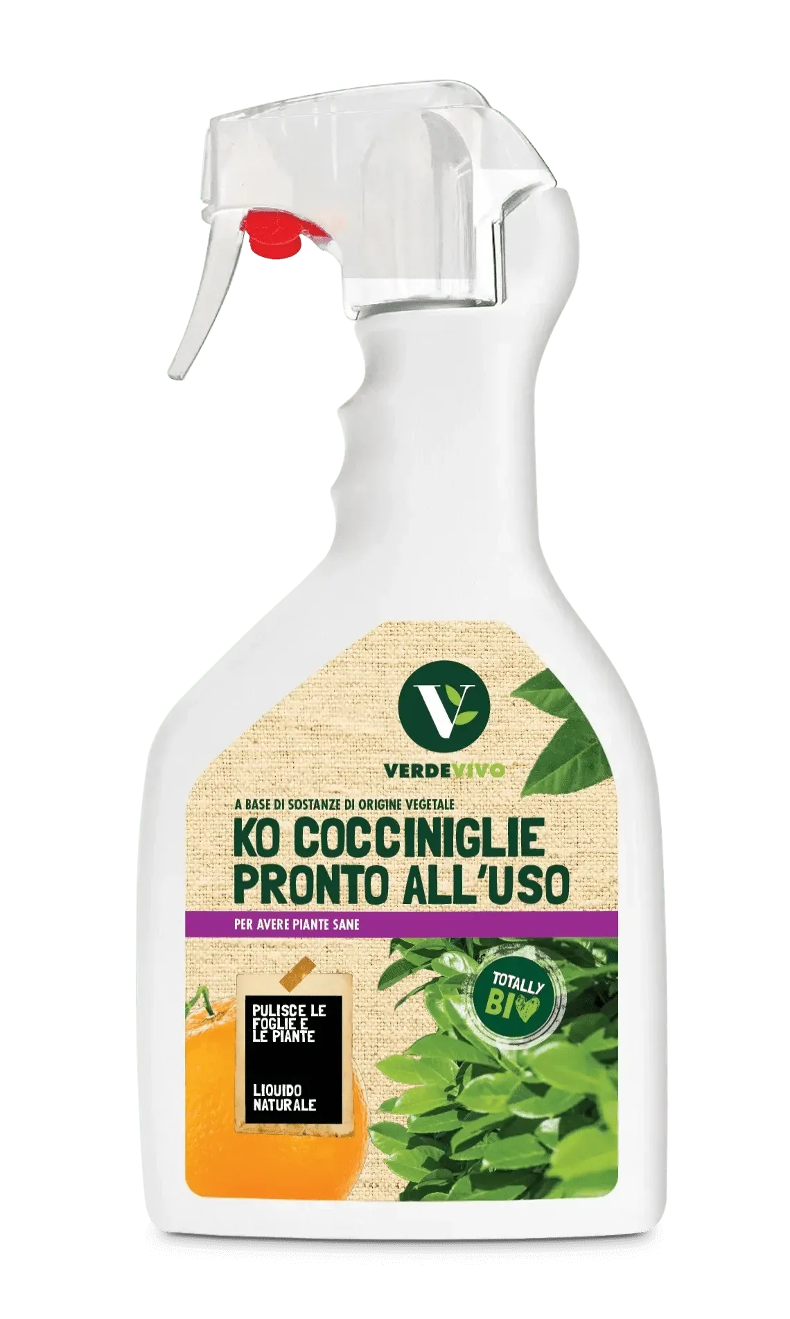 KO - COCCINIGLIE FL. 750 ML - i Giardini di Giulia