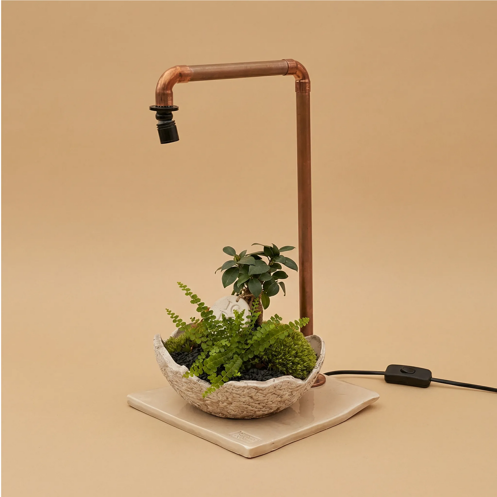 Lampada LED in tubo di rame con composizione bonsai Ficus, felce capelvenere, muschio verde e targhetta IGDG in ciotola ceramica artigianale su base quadrata in ceramica