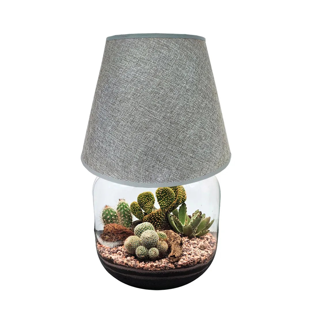 Terrarium Lamparium Martina Cactus