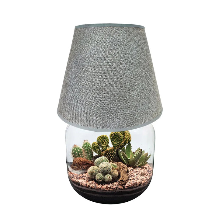 Terrarium Lamparium Martina Cactus