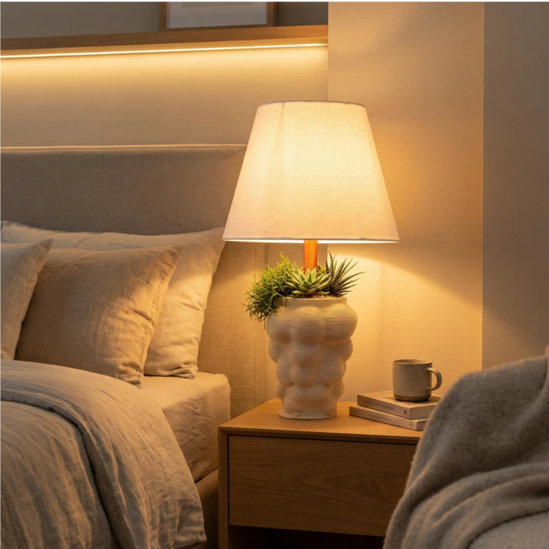 Lampada da tavolo con composizione di piante grasse decorative posizionata su comodino in camera da letto.