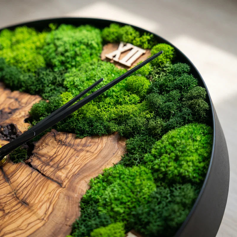 Nemus | Orologio Botanico in Muschio e Ulivo · 30 cm