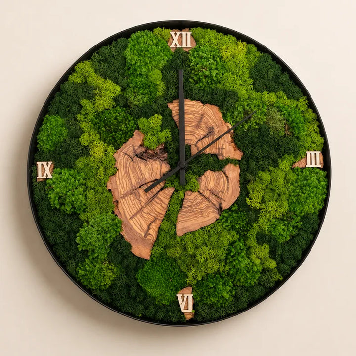 Nemus | Orologio Botanico in Muschio e Ulivo