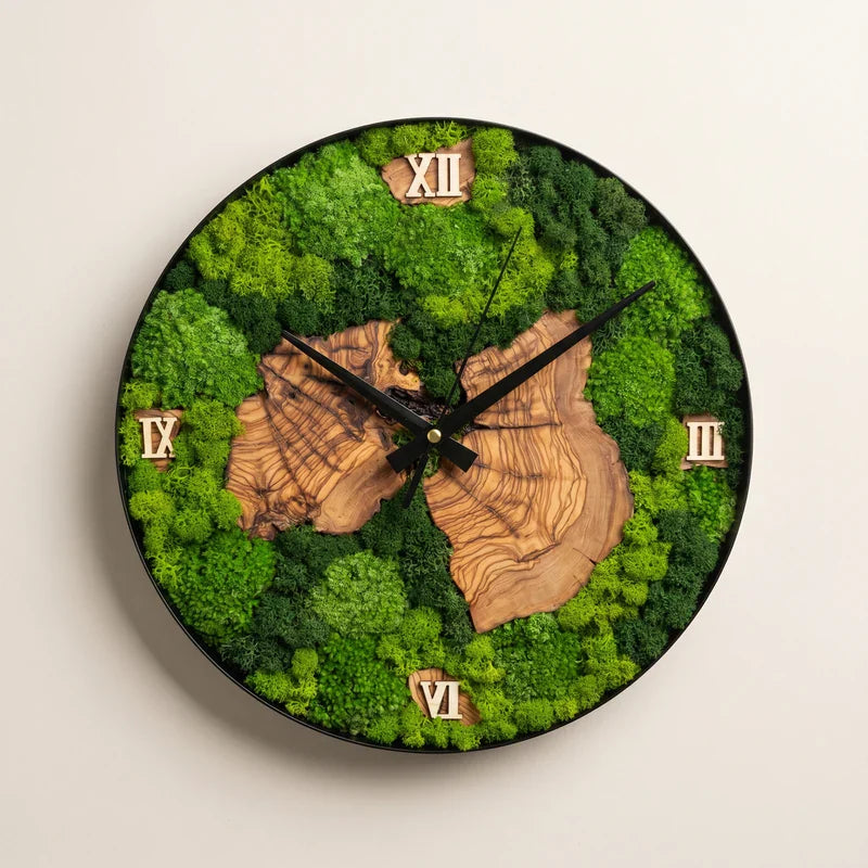 Nemus | Orologio Botanico in Muschio e Ulivo · 30 cm