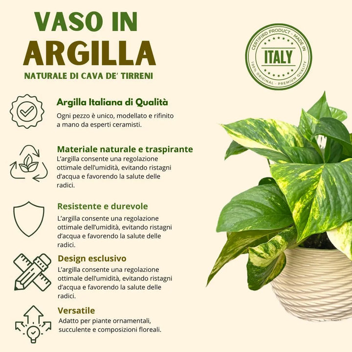 Vaso ceramica Carina - dettaglio del vaso bianco lucido con Pothos variegato e texture