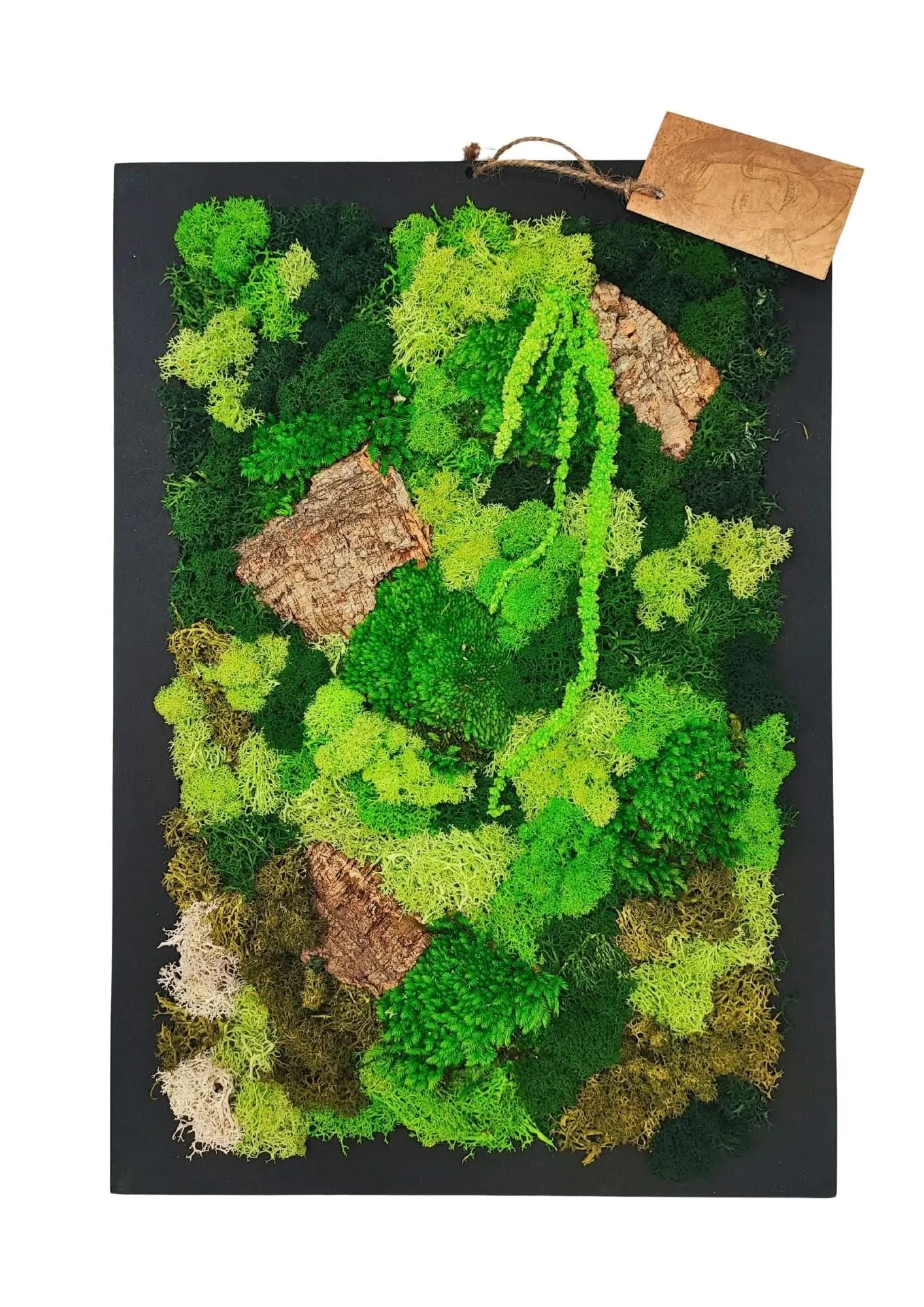Quadro muschio stabilizzato 30x40 cm - vista frontale con muschio e licheni verdi su parete chiara, design naturale ed elegante