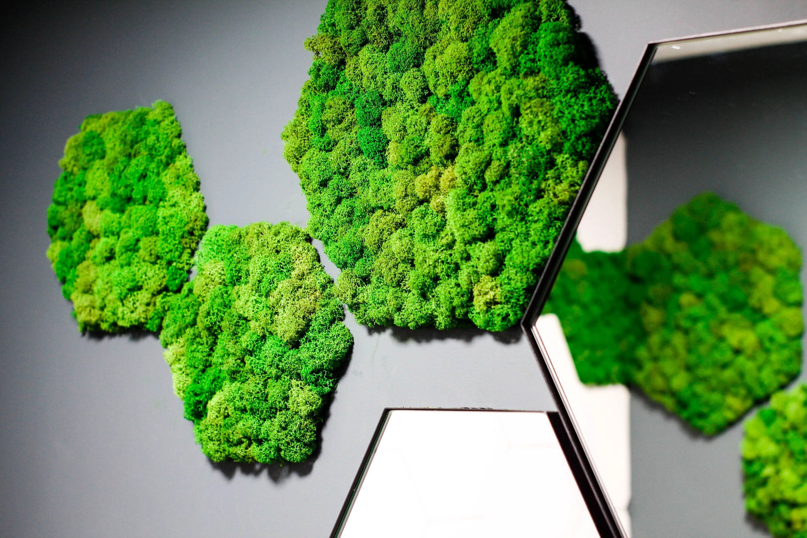 Quadro verde stabilizzato esagonale - composizione modulare su parete grigia, design moderno