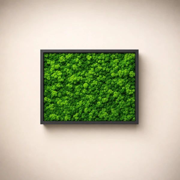 Quadri Rettangolari di Lichene 40X30 cm