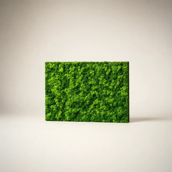 Quadri Rettangolari di Lichene 40X30 cm