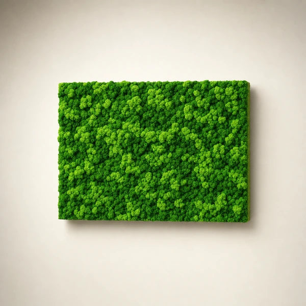 Quadro Rettangolare di Lichene 60X40 cm