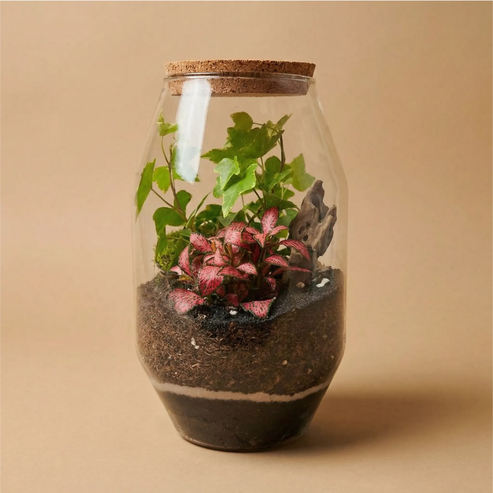 Terrarium Alessia 058 con Fittonia rosa e piante verdi, mini giardino decorativo in vetro