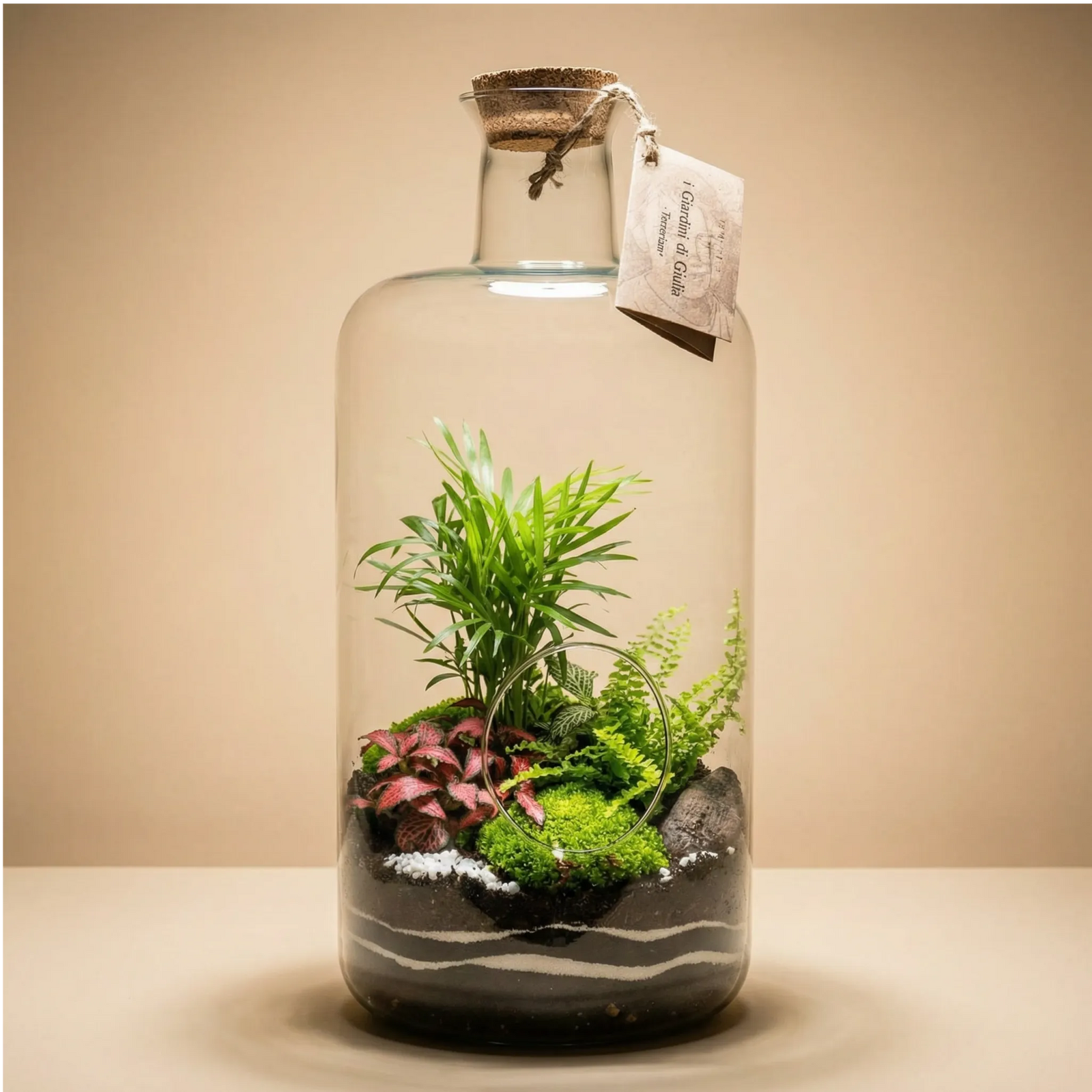 Terrarium bottiglia grande 26x50 palma tropicale fittonia rosa muschio tappo sughero