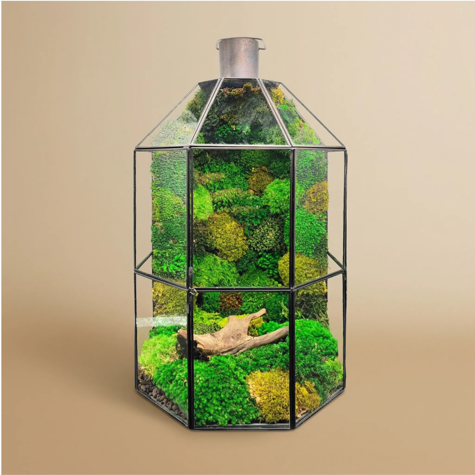 Terrarium Terranova muschio stabilizzato 40cm lanterna verde decorativa zero manutenzione arredo naturale
